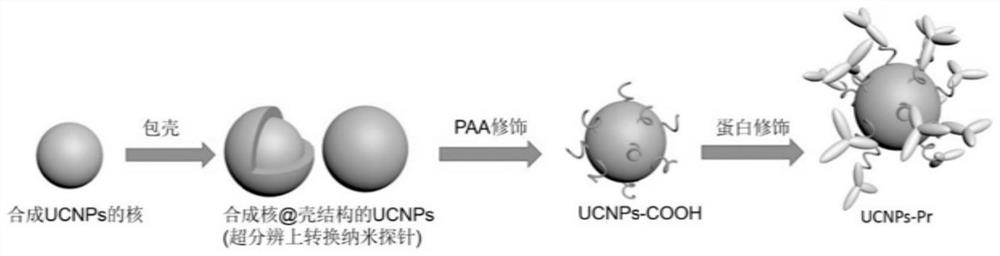 Up-conversion super-resolution imaging nanoprobe and its preparation method and application