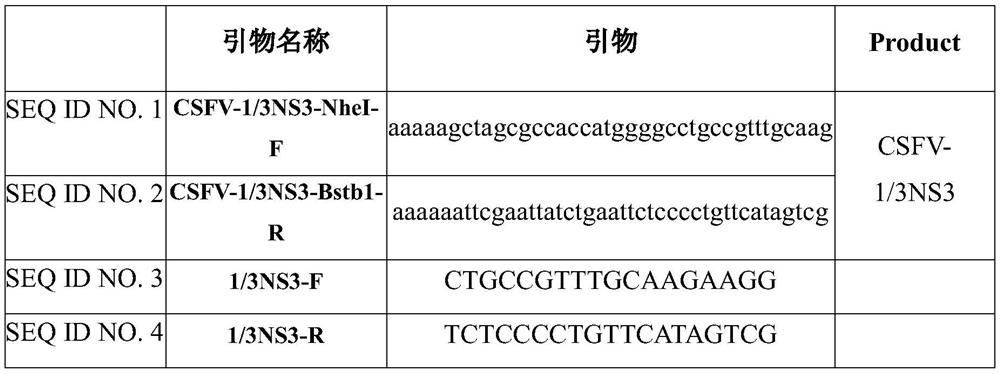 A monoclonal cell line stably expressing serine protease, its preparation method, a kit containing the cell line and its application