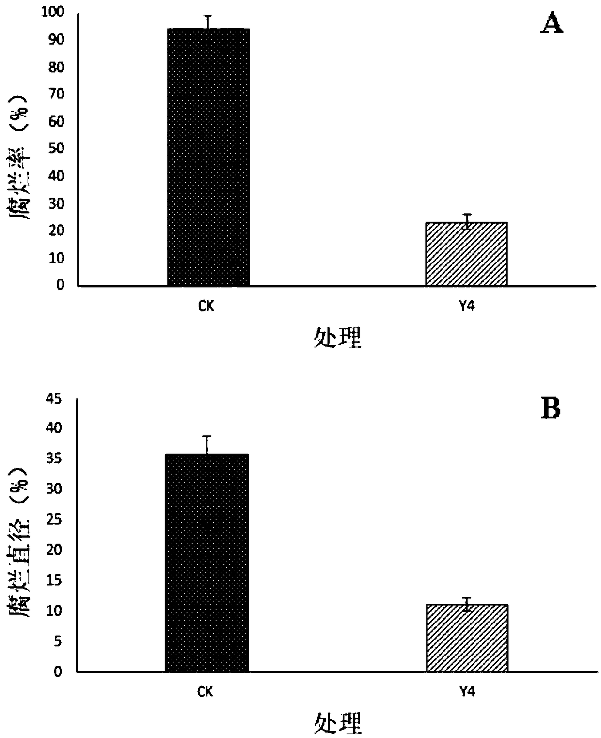 Pichia membranifaciens for controlling diseases after peach harvesting