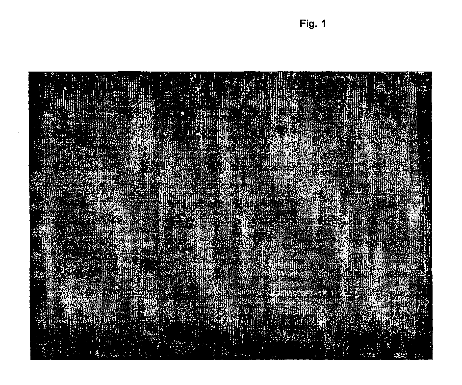 Product for absorption purposes