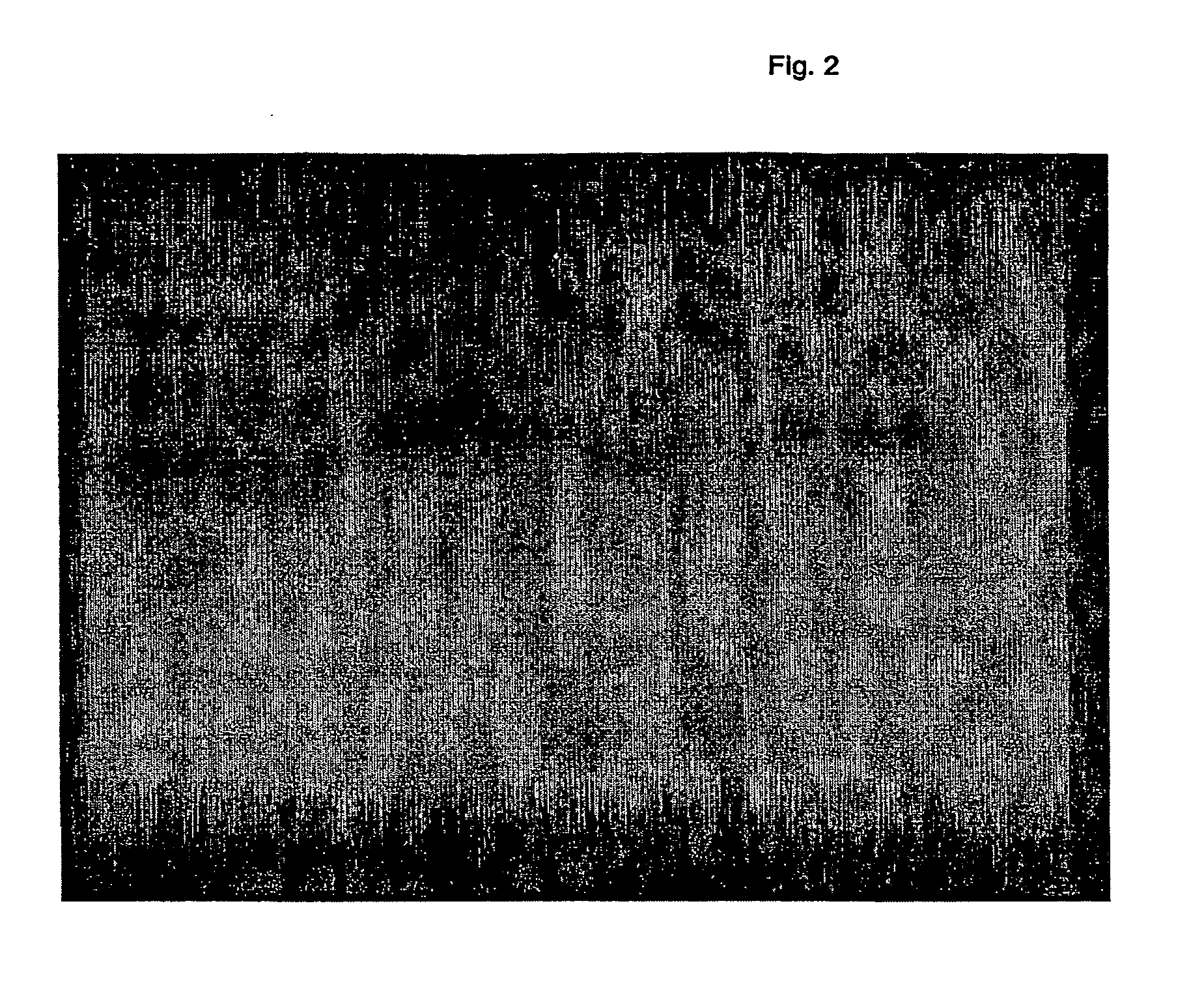 Product for absorption purposes