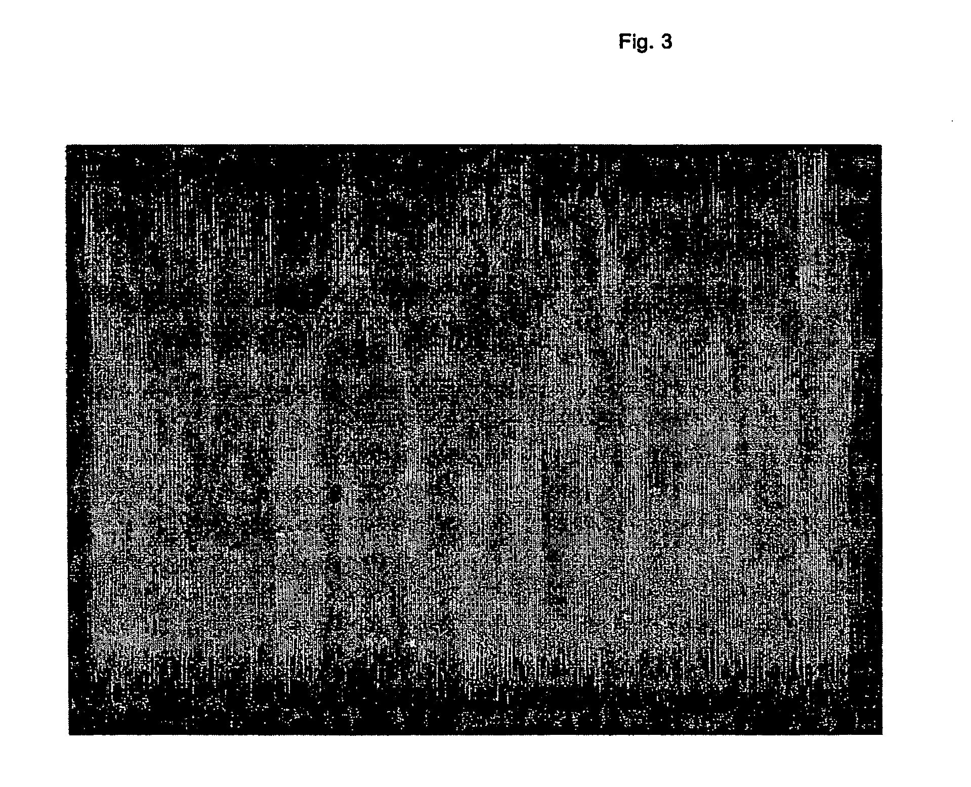 Product for absorption purposes