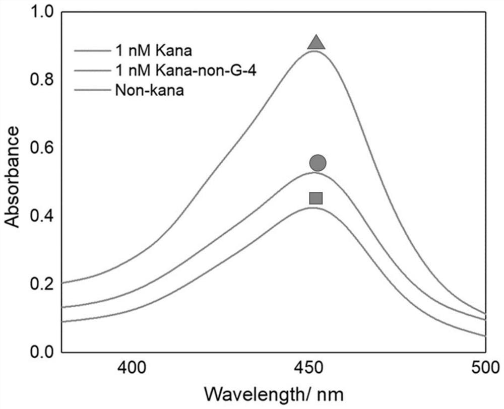 Method for ultra-sensitive detection of kanamycin based on DNA/Ni-Fe LDO cubic network structure