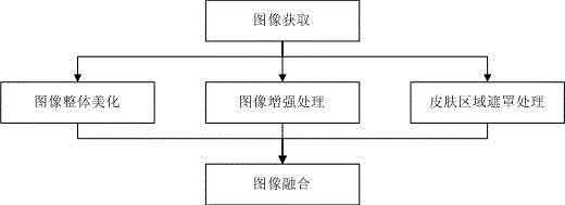 Mobile terminal for achieving high-quality real-time facial beautification