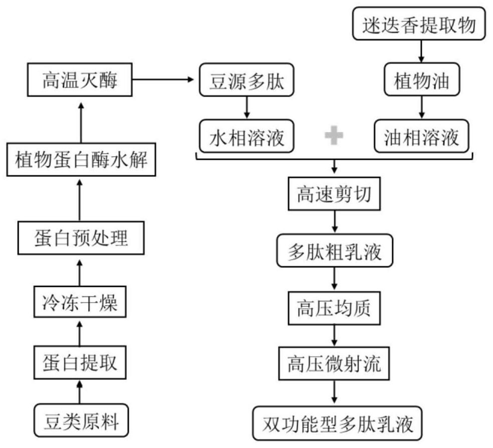 Bifunctional soybean-derived polypeptide and preparation method thereof