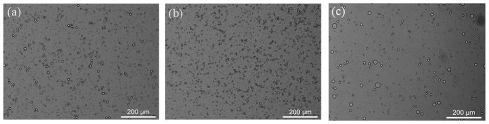 Bifunctional soybean-derived polypeptide and preparation method thereof