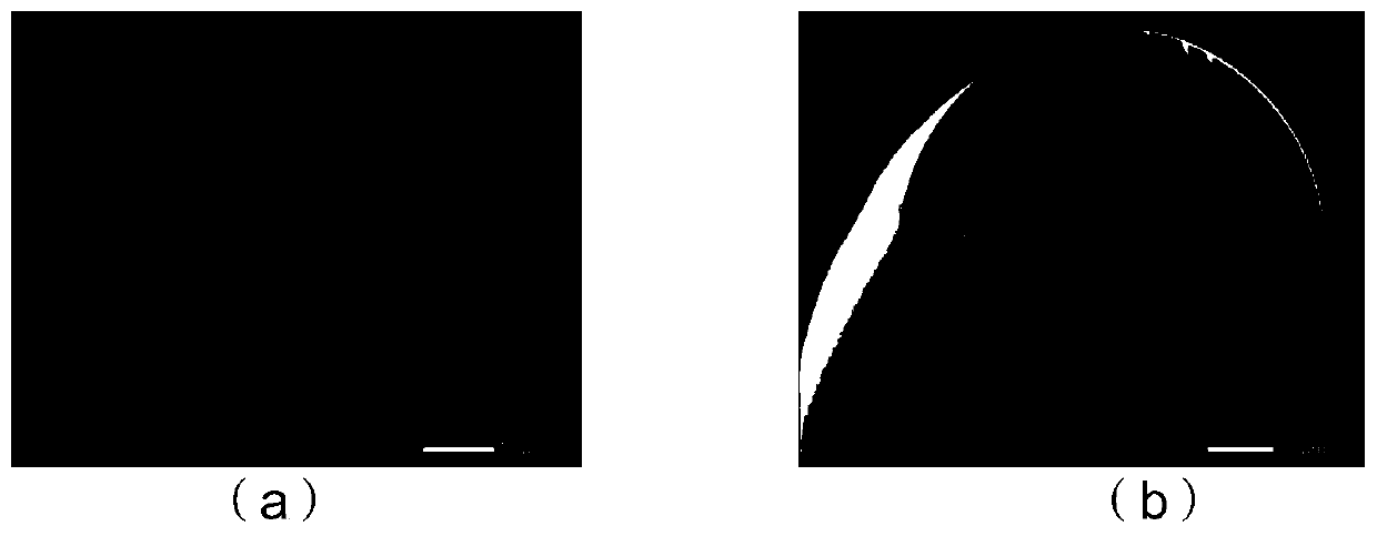 Determination method of reflection intensity at melting point of photonic crystal fiber ring based on otdr