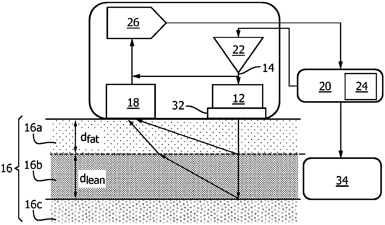 System and method for determining fat and lean body tissue components