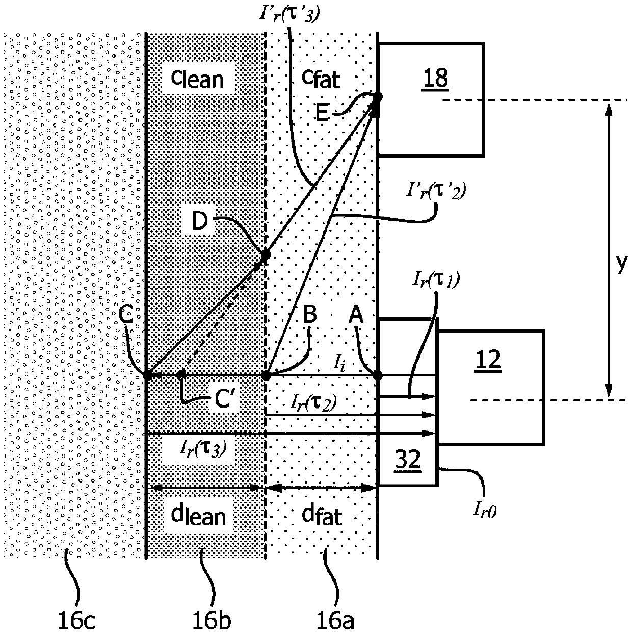 System and method for determining fat and lean body tissue components