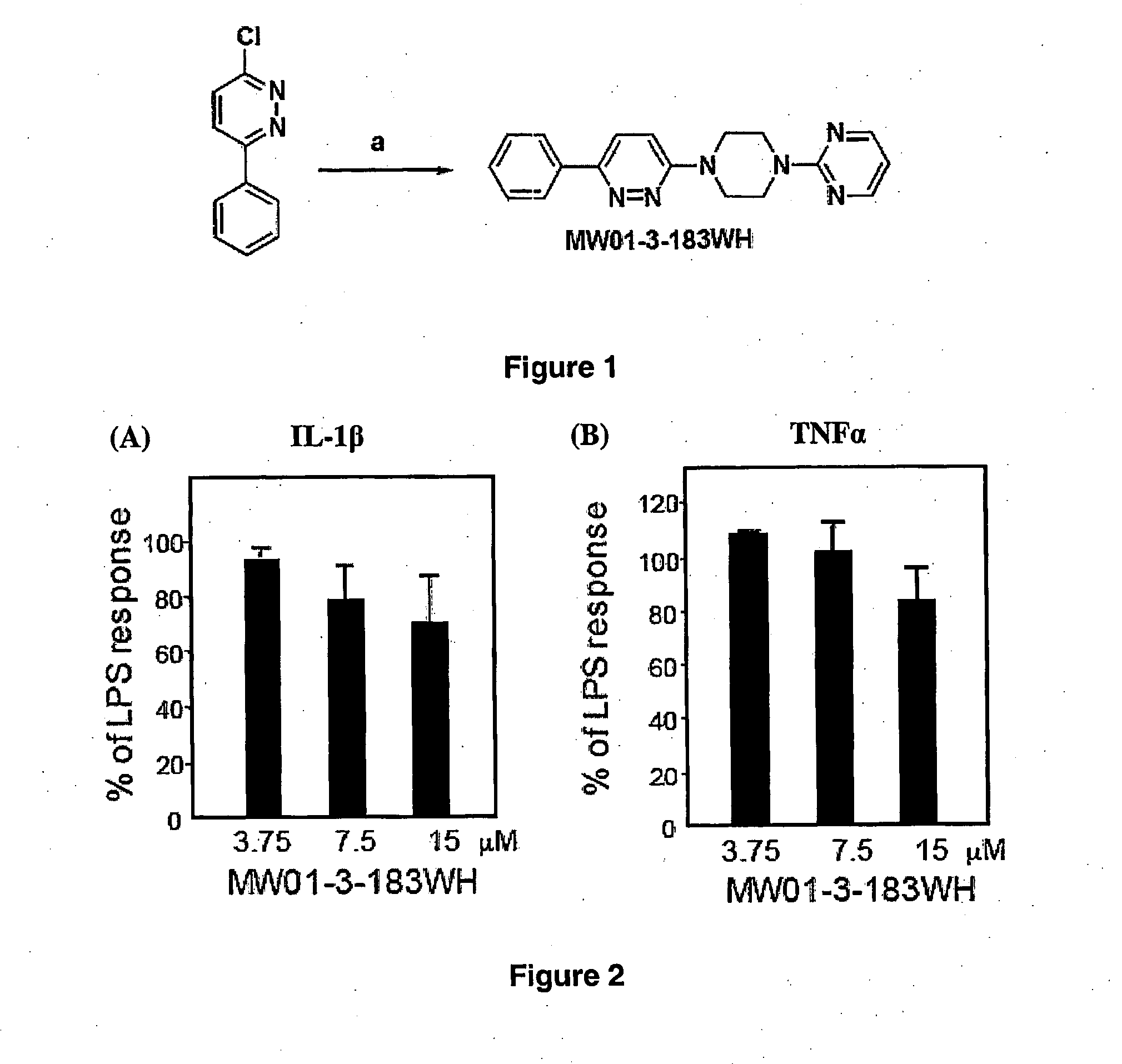 Pyridazine compounds, compositions and methods
