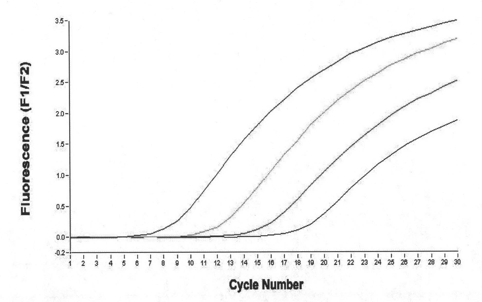 Nosema bombycis SYBT Green fluorescence quantitative PCR (Polymerase Chain Reaction) detection method as well as kit and specific primer thereof