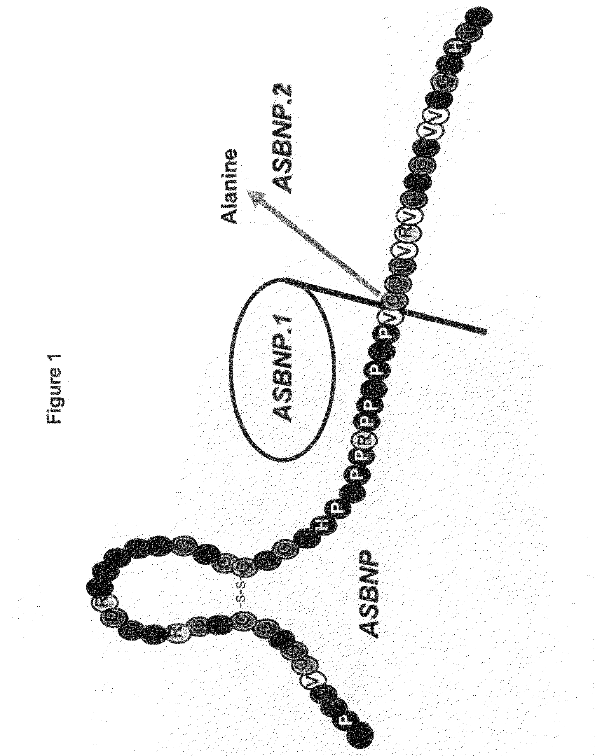 Diuretic and natriuretic polypeptides