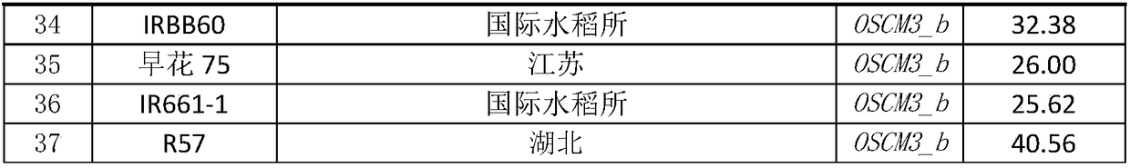 Chorismate mutase nucleotide sequence related to high yield of rice and application thereof