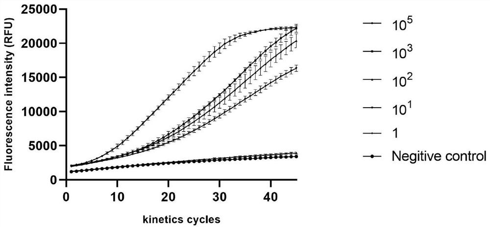 CrDNA, crRNA, kit and method for detecting plant tomato spotted wilt virus