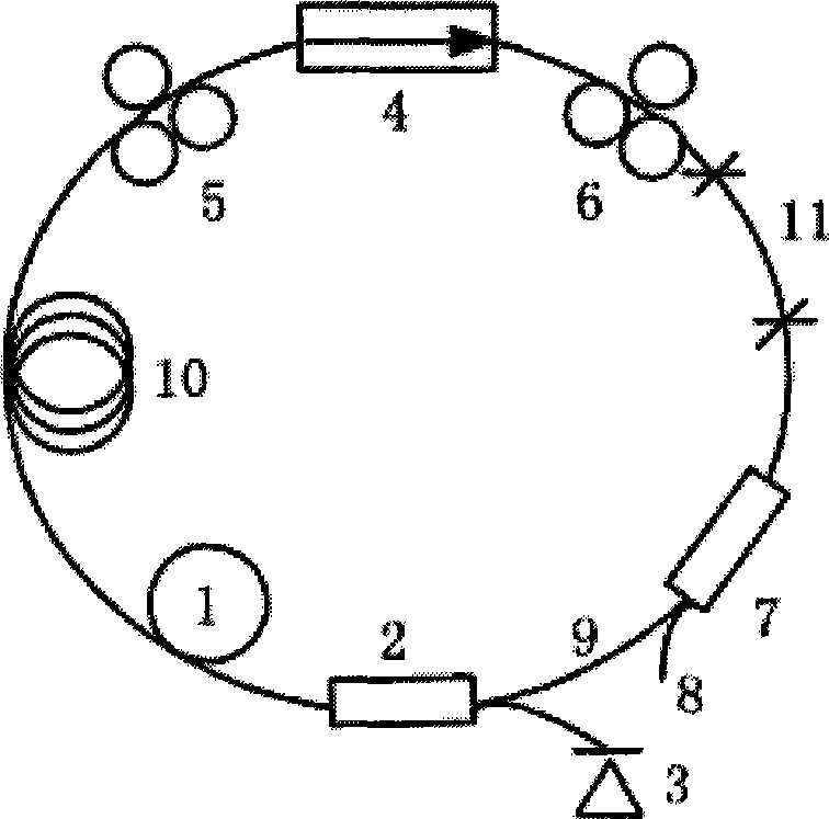 Polarization related outputting multiple wavelength and passive mode locking optical fiber laser