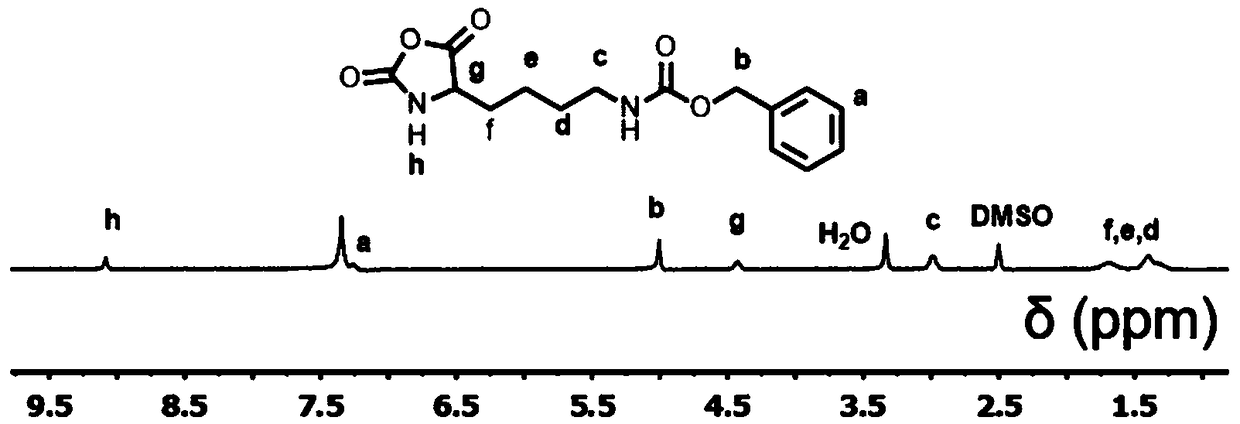 Preparation and application of amphiphilic polypeptide genetic vector