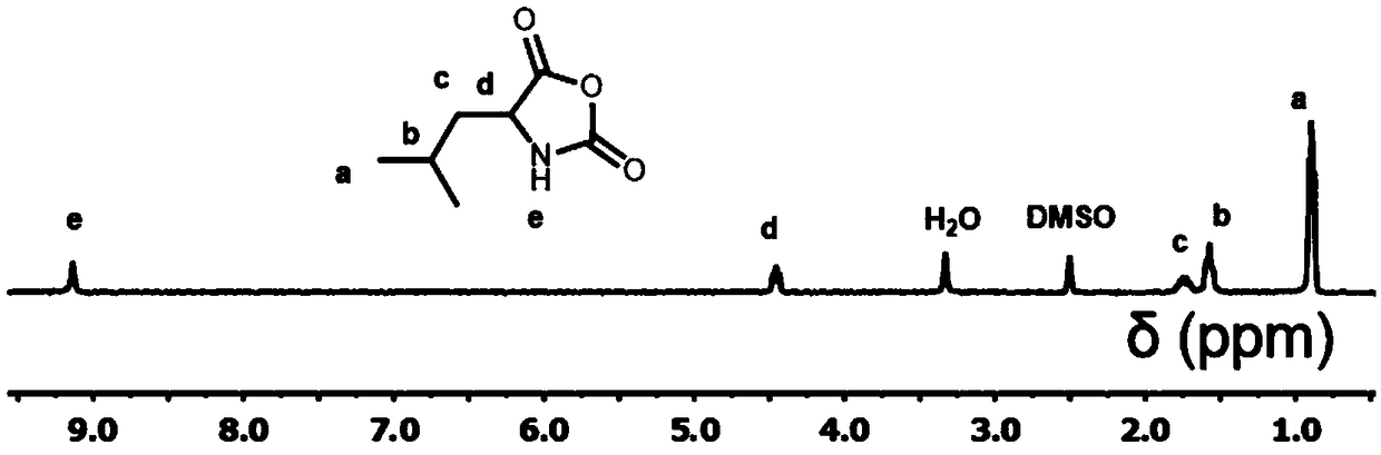 Preparation and application of amphiphilic polypeptide genetic vector