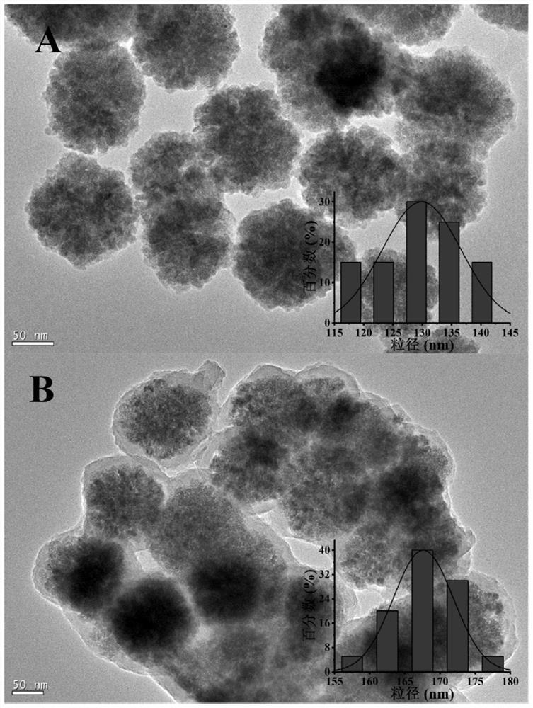 Magnetic particle modified by polydopa/polyethyleneimine copolymer and its preparation method and application