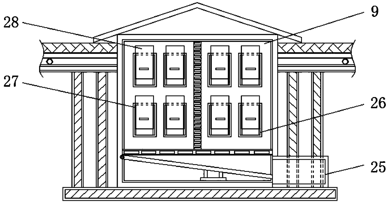 Breeding shed with automatic feed function for type classification livestock breeding