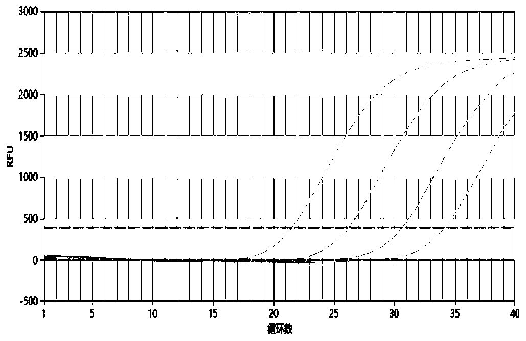 Kit for detecting five pathogens of TORCH and application of kit