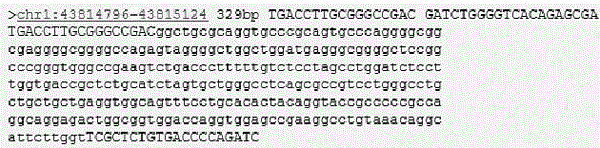 Primers and method for detecting MPL gene mutation