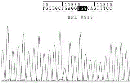 Primers and method for detecting MPL gene mutation