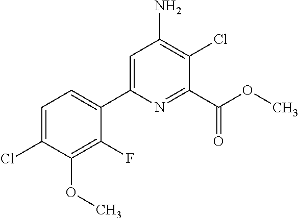 Stable oil-in-water emulsions