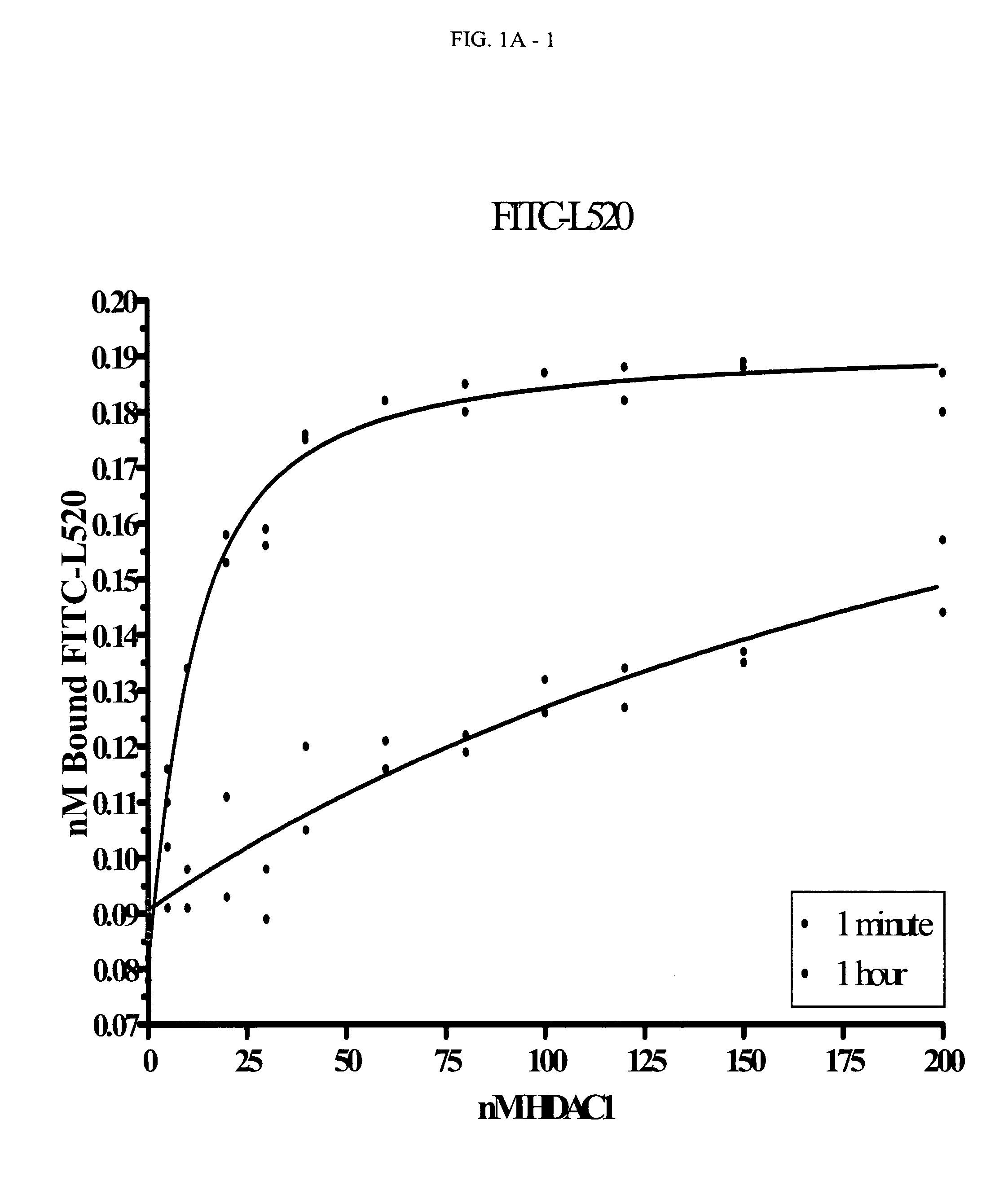 Fluorescent compounds that bind to histone deacetylase