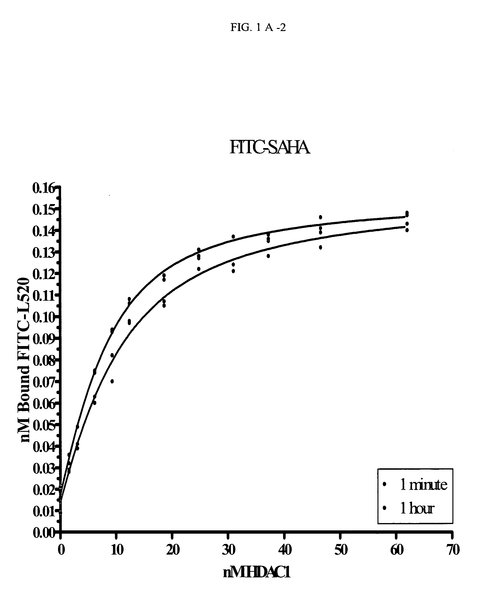 Fluorescent compounds that bind to histone deacetylase