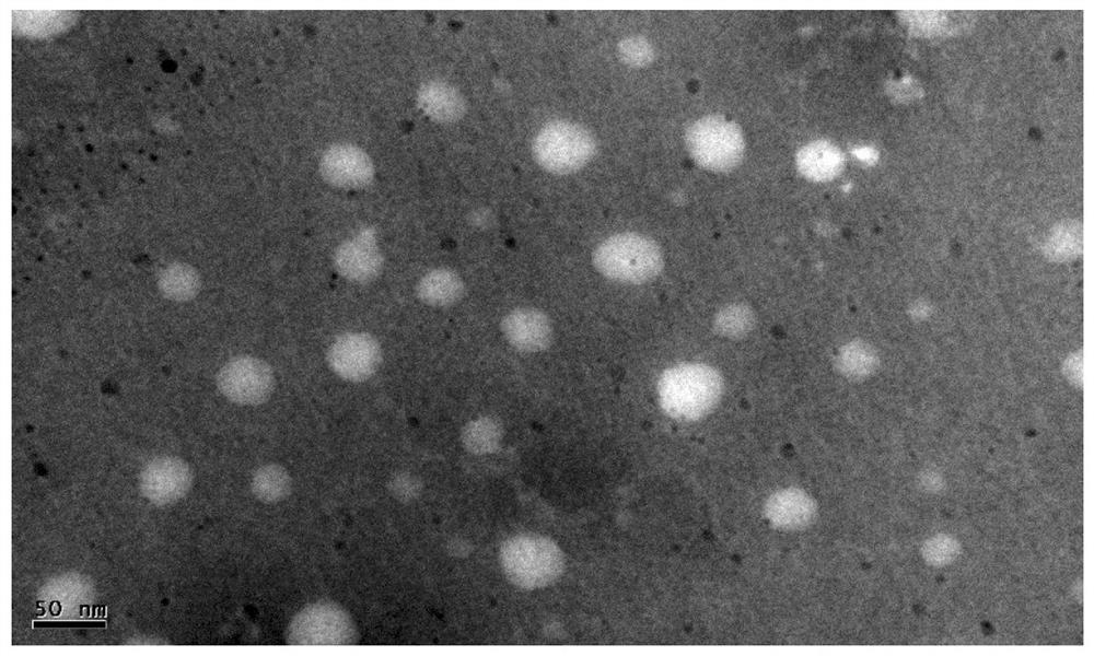 Needle and medicine integrated hydrogel microneedle