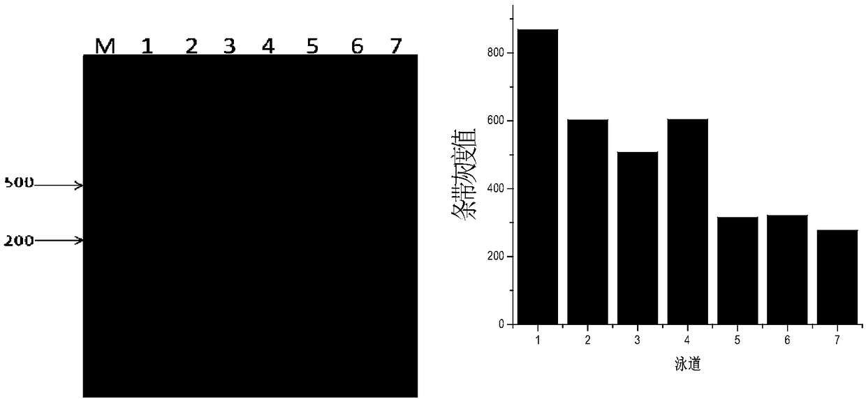 Method for quantitative detection of microorganisms in mixed microbial fermentation process