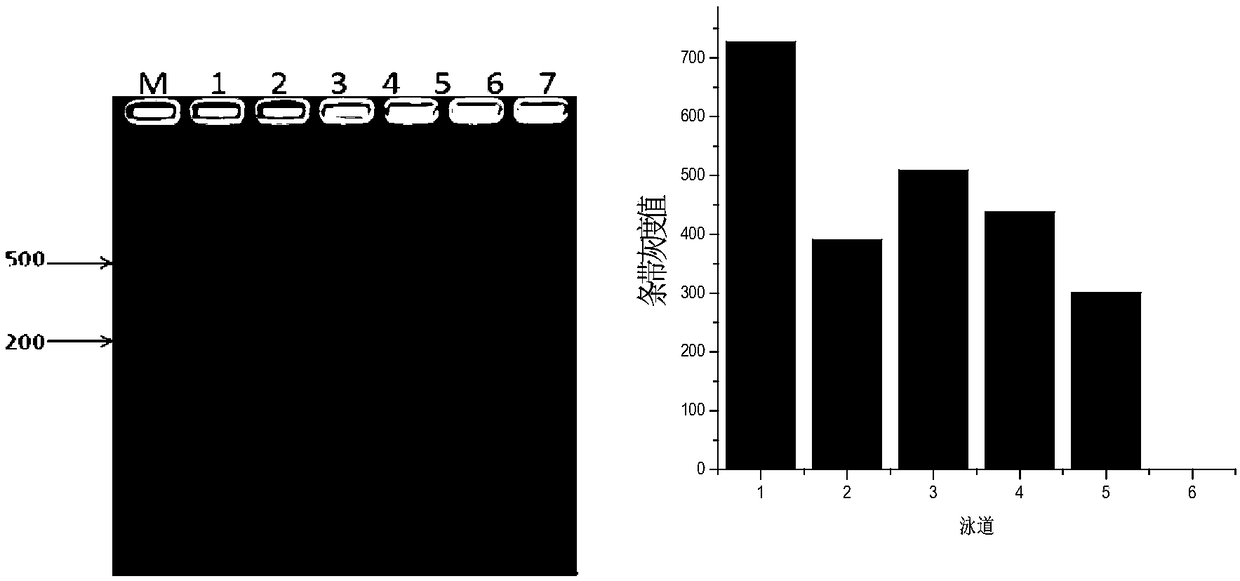 Method for quantitative detection of microorganisms in mixed microbial fermentation process