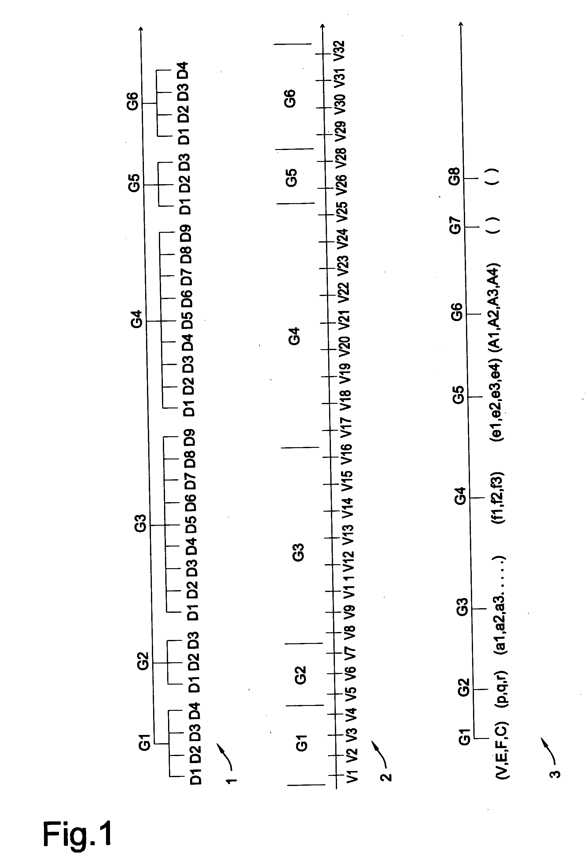 Morphological genome for design applications