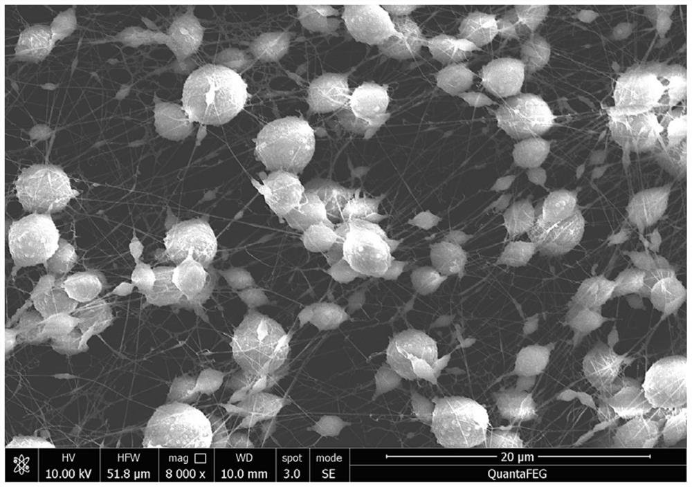 Separation membrane, preparation method, aviation kerosene dehydration and purification method and application