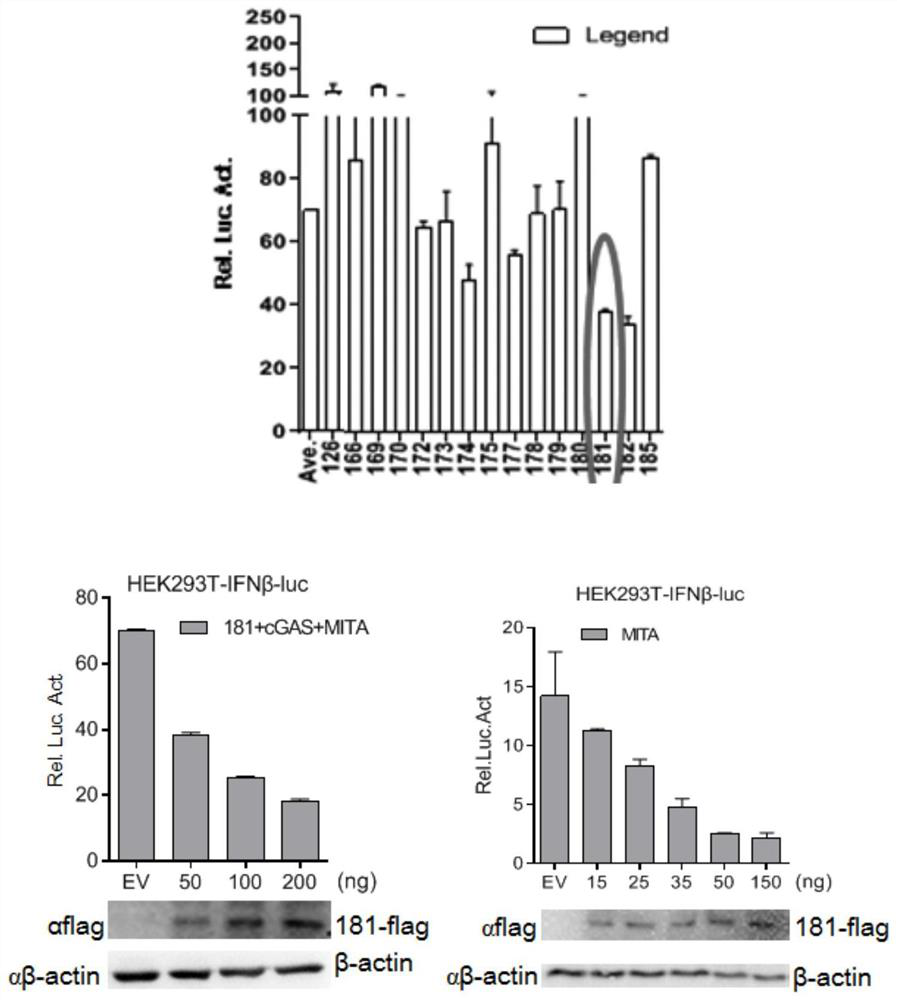 DP71L gene deleted recombinant African swine fever virus and preparation method and application thereof