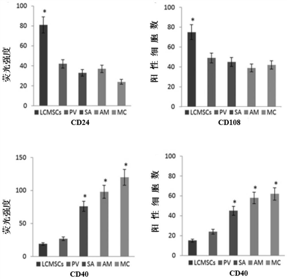 Mesenchymal stem cell drug for immune function regulation and preparation method thereof