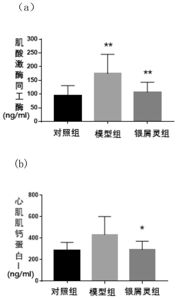 Application of traditional Chinese medicine for the treatment of psoriasis in the preparation of drugs for the prevention and treatment of myocardial ischemia-reperfusion injury