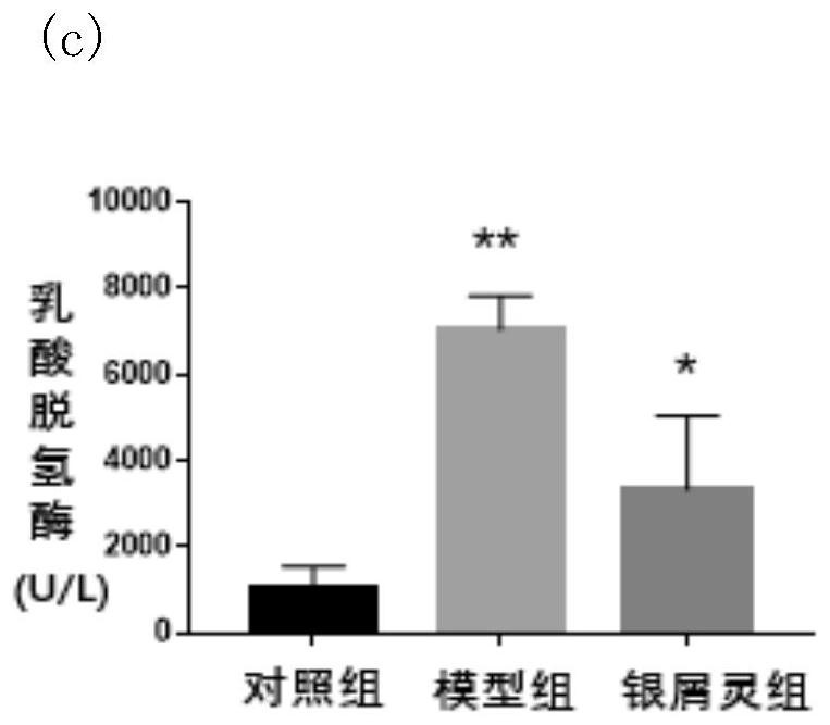 Application of traditional Chinese medicine for the treatment of psoriasis in the preparation of drugs for the prevention and treatment of myocardial ischemia-reperfusion injury