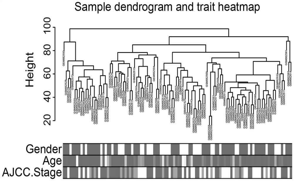 A marker for predicting the prognosis and suitability of immunotherapy in gastric cancer and its application