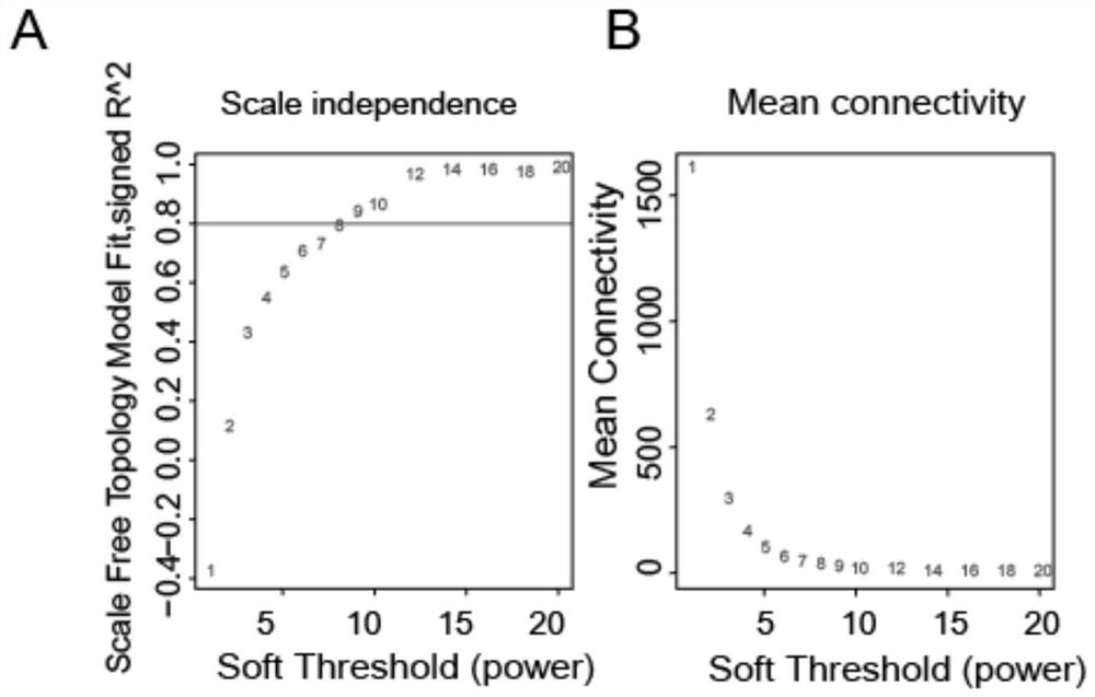 A marker for predicting the prognosis and suitability of immunotherapy in gastric cancer and its application