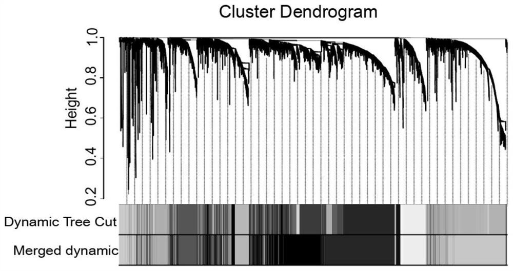 A marker for predicting the prognosis and suitability of immunotherapy in gastric cancer and its application