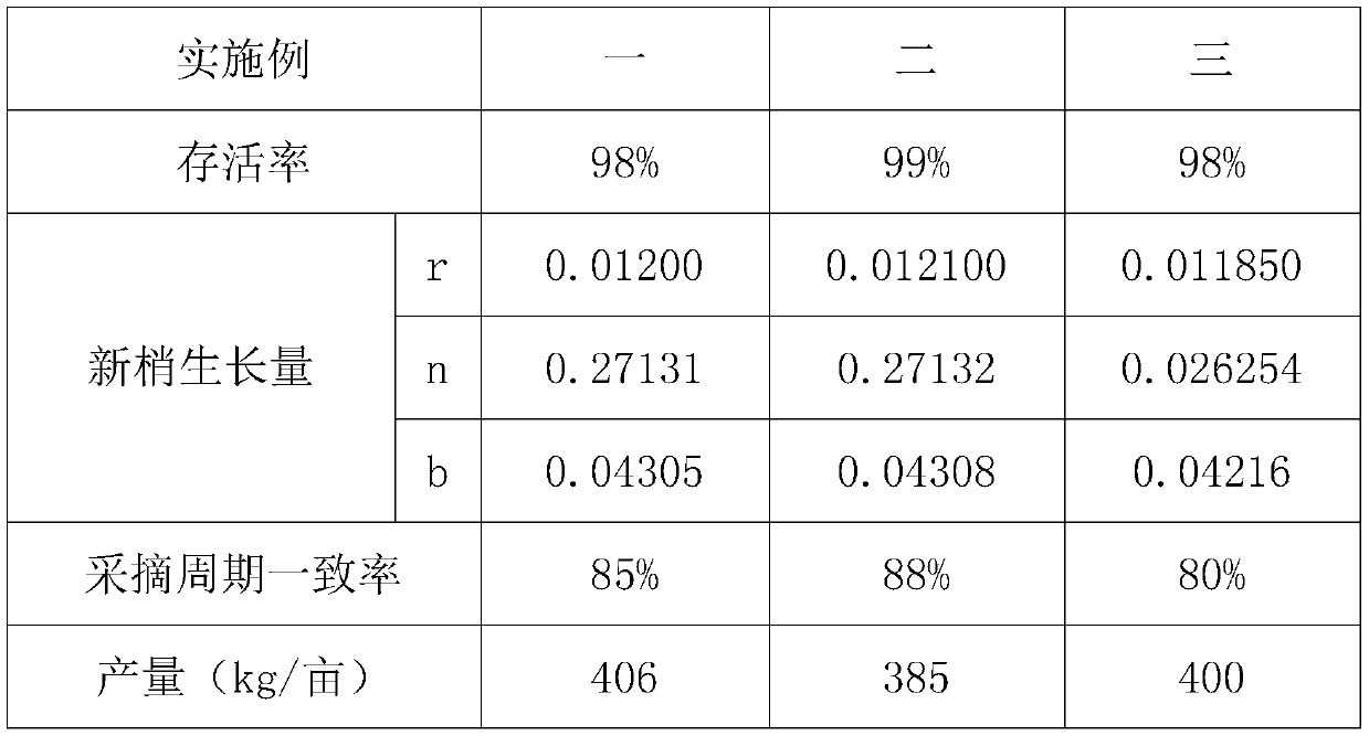 Camellia oleifera planting method