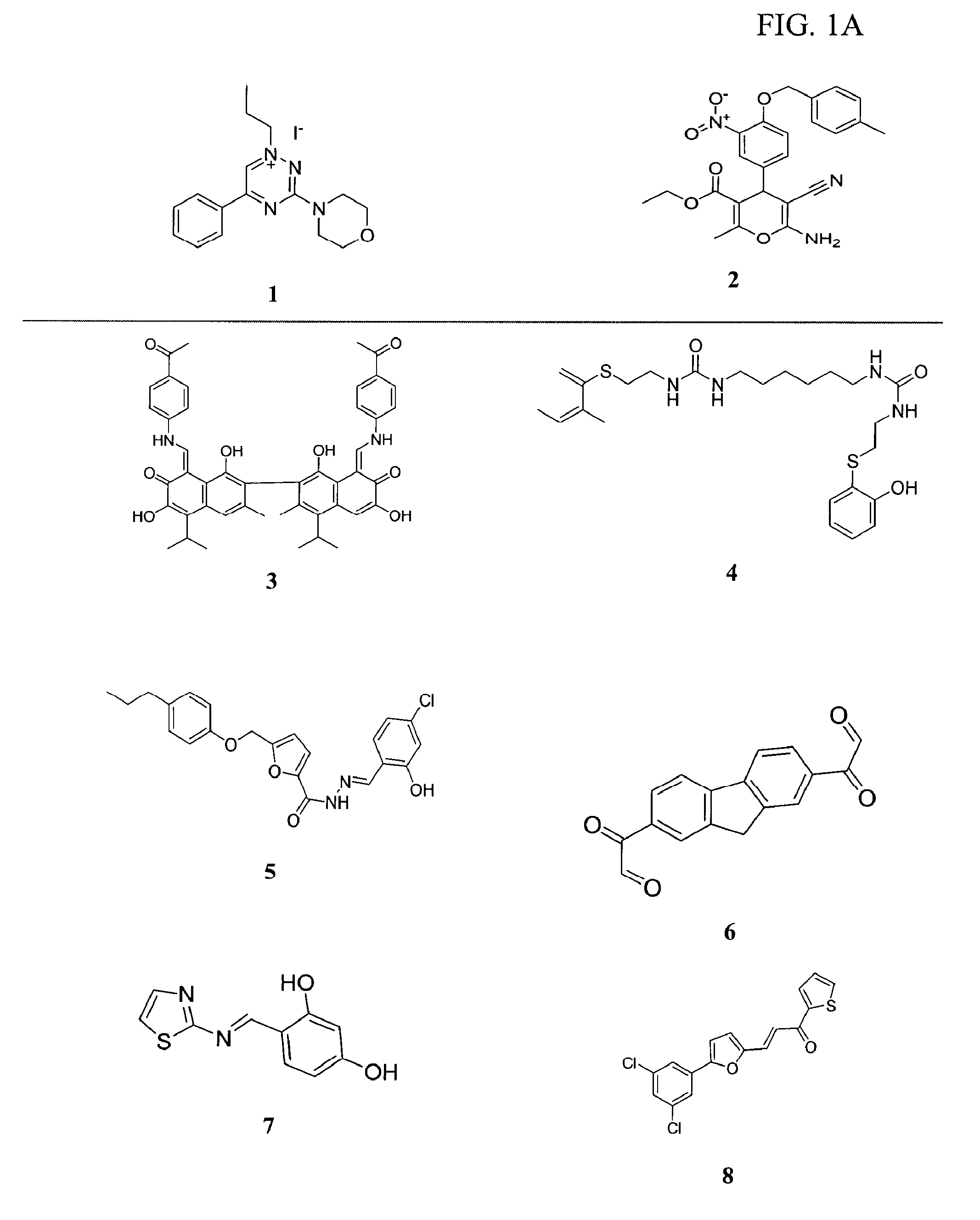 Composition and method for inhibiting norovirus infection