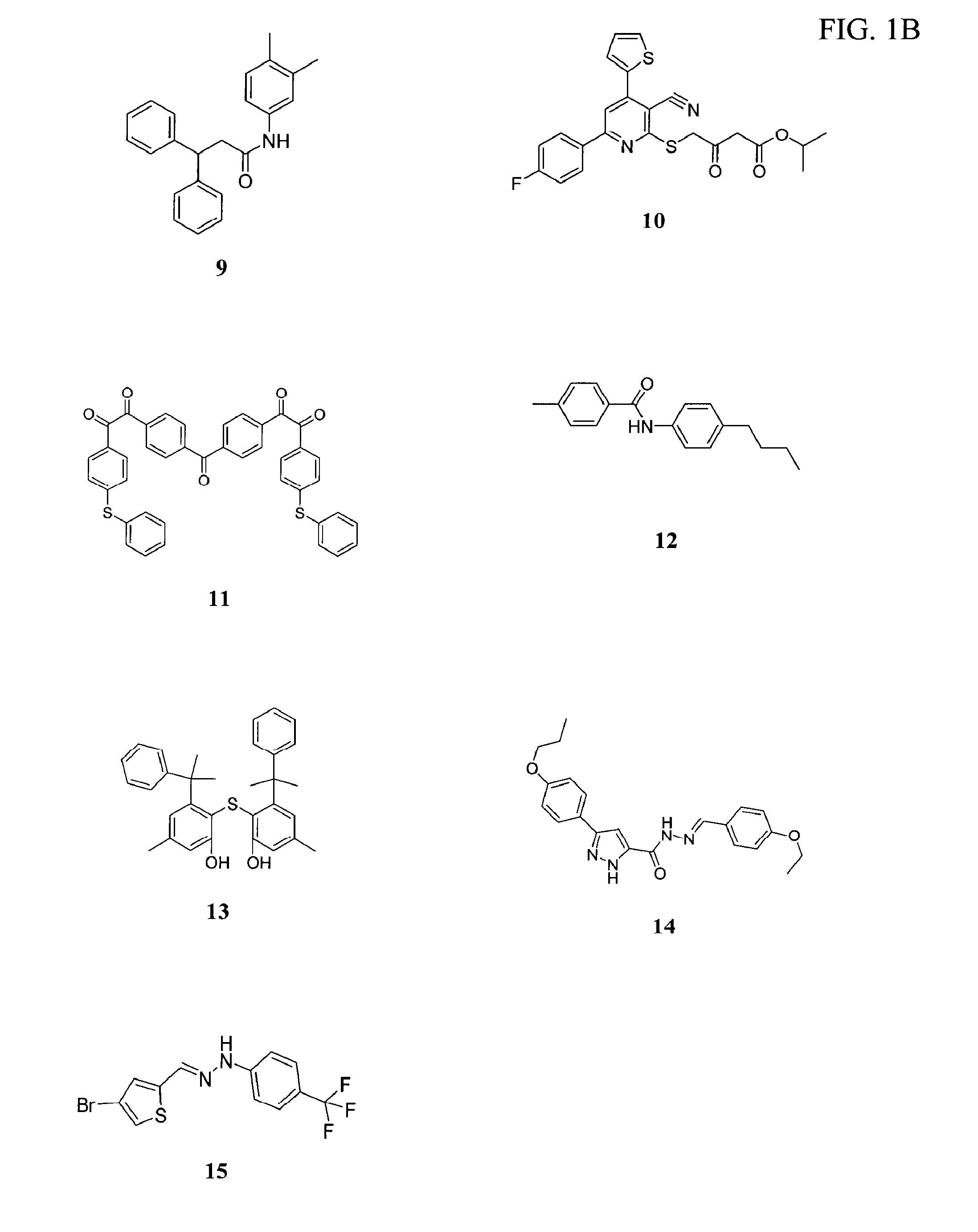 Composition and method for inhibiting norovirus infection