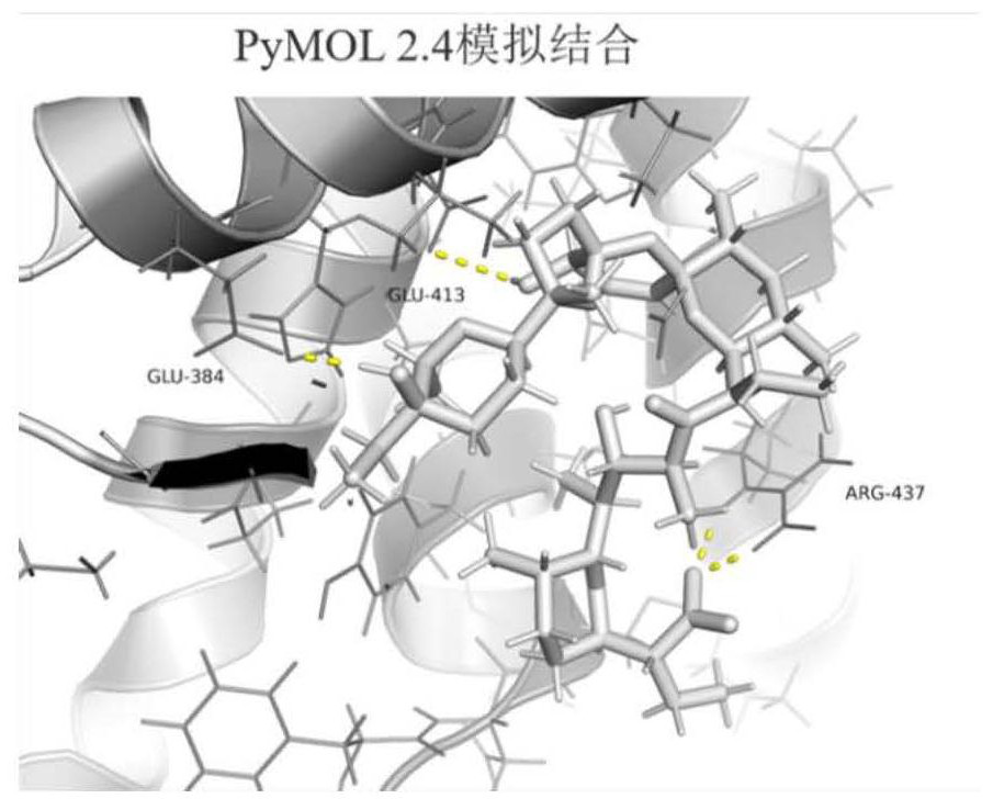 Application of salinomycin in preparation of anti-coronavirus drugs