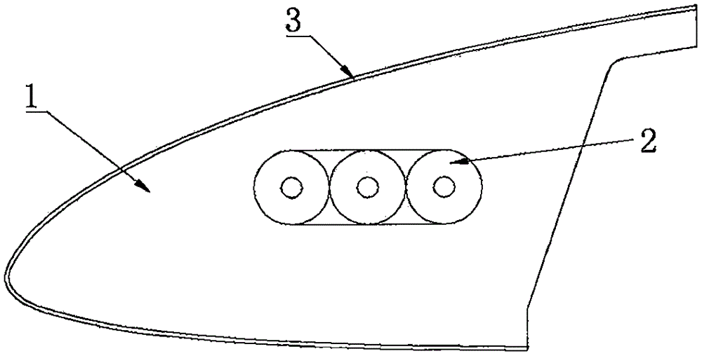 Wing leading edge of multifunctional solar aircraft