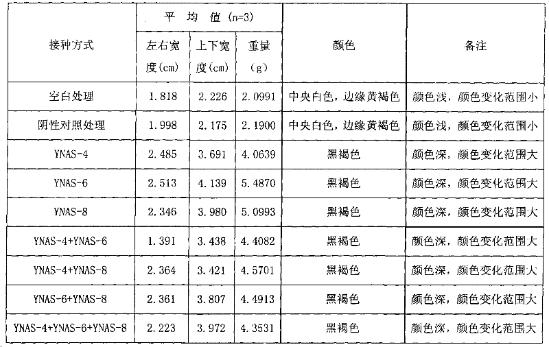 Three fungi capable of inducing aquilaria sinensis to produce agilawood