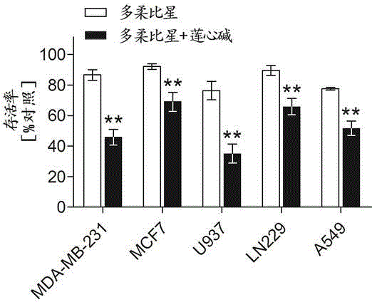 Pharmaceutical composition using liensinine to work in coordination with doxorubicin for chemotherapy and application method of pharmaceutical composition