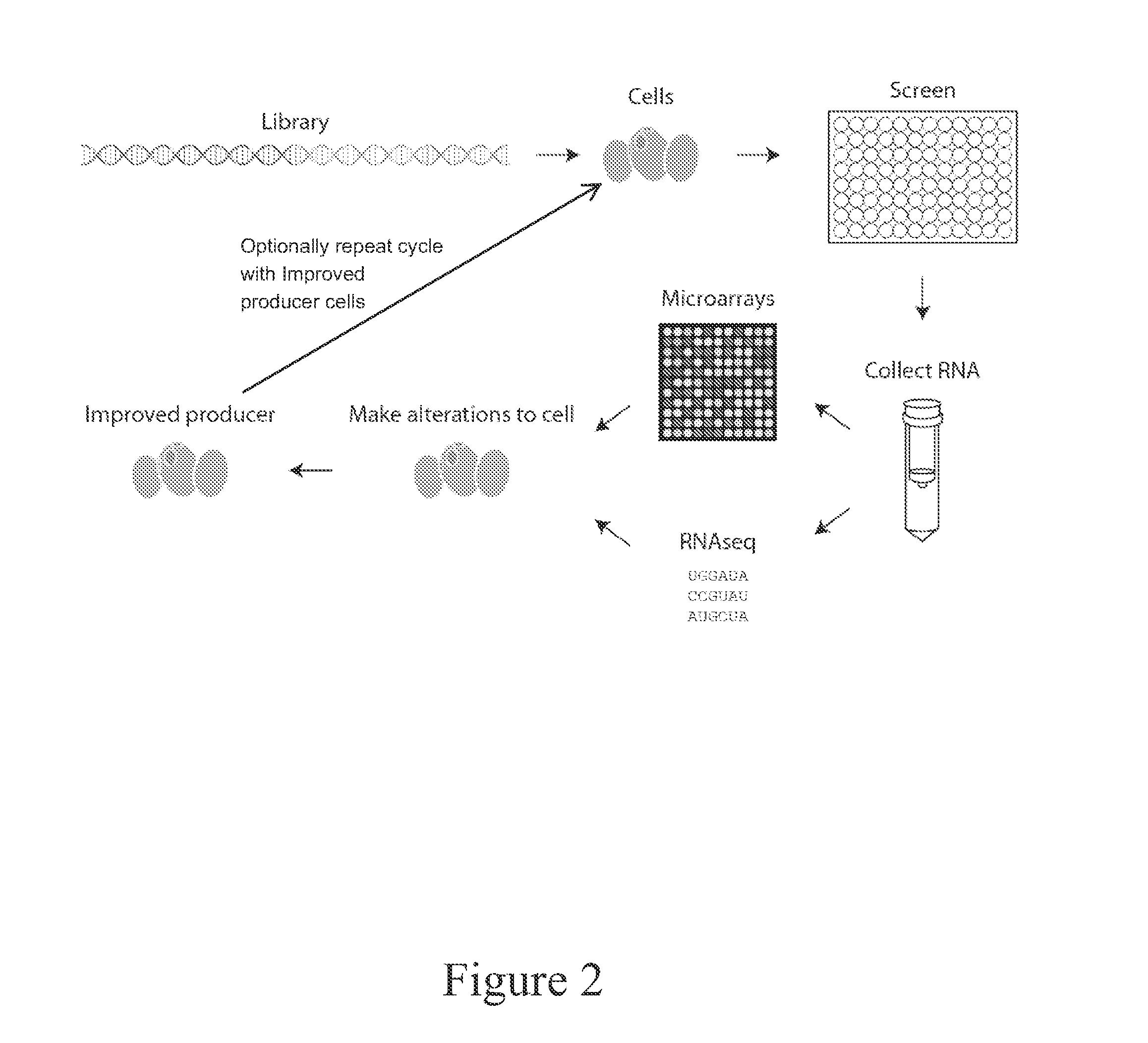 Cellular Reprogramming for Product Optimization