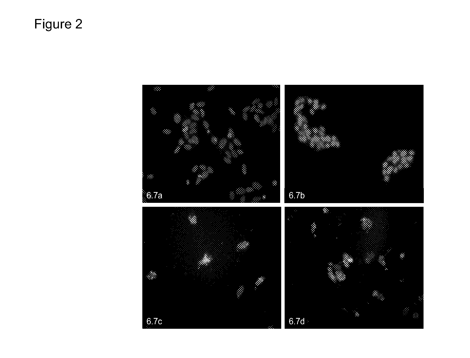 Detection of cell surface binding molecules using a phage display blocking assay